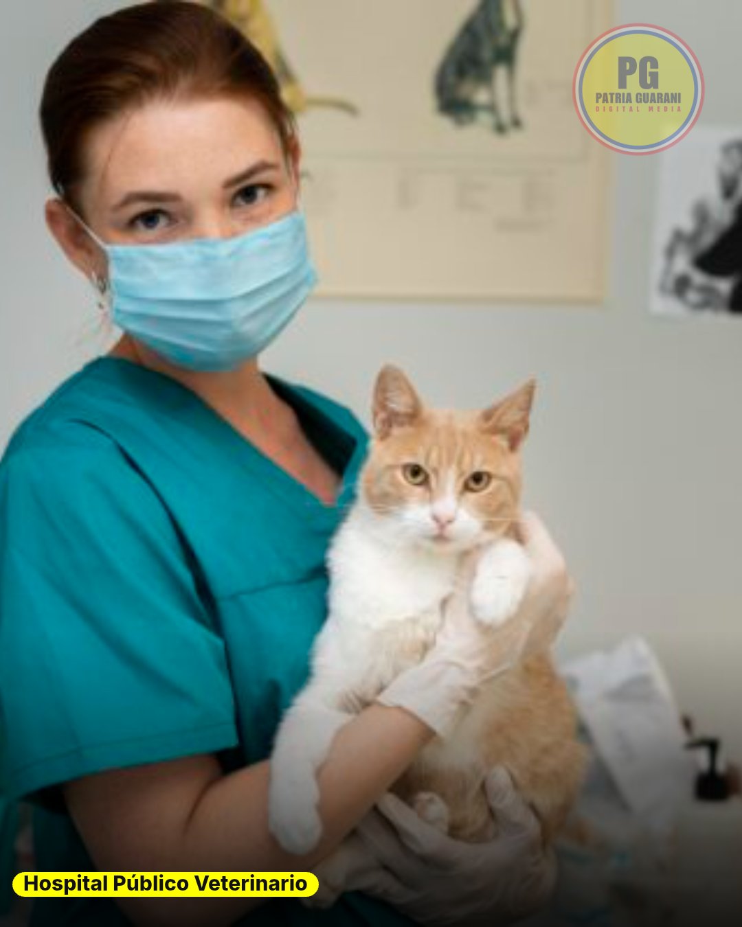 Gobierno anuncia construcción del primer hospital público veterinario