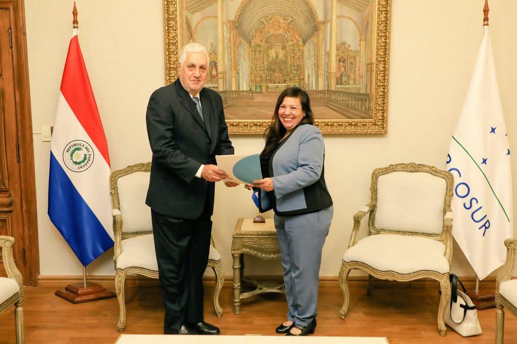 Audiencia entre el Ministro y la Coordinadora de la ONU