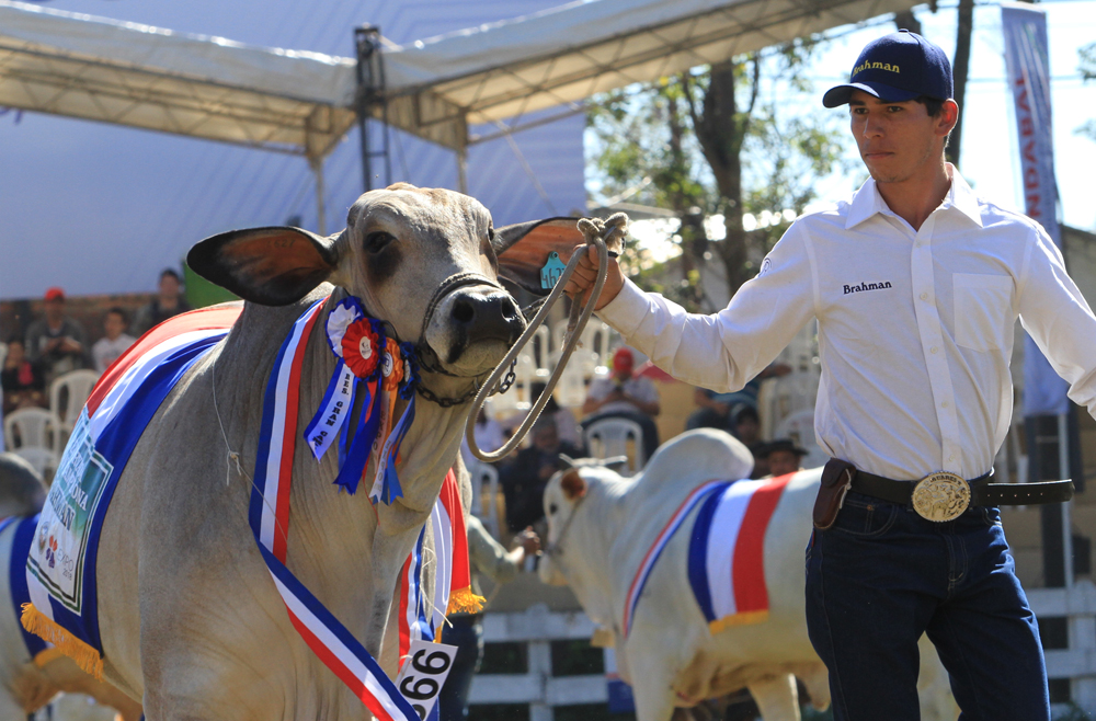 Acuerdo Mercosur-UE es una ventaja para el sector productivo paraguayo, afirma Peña