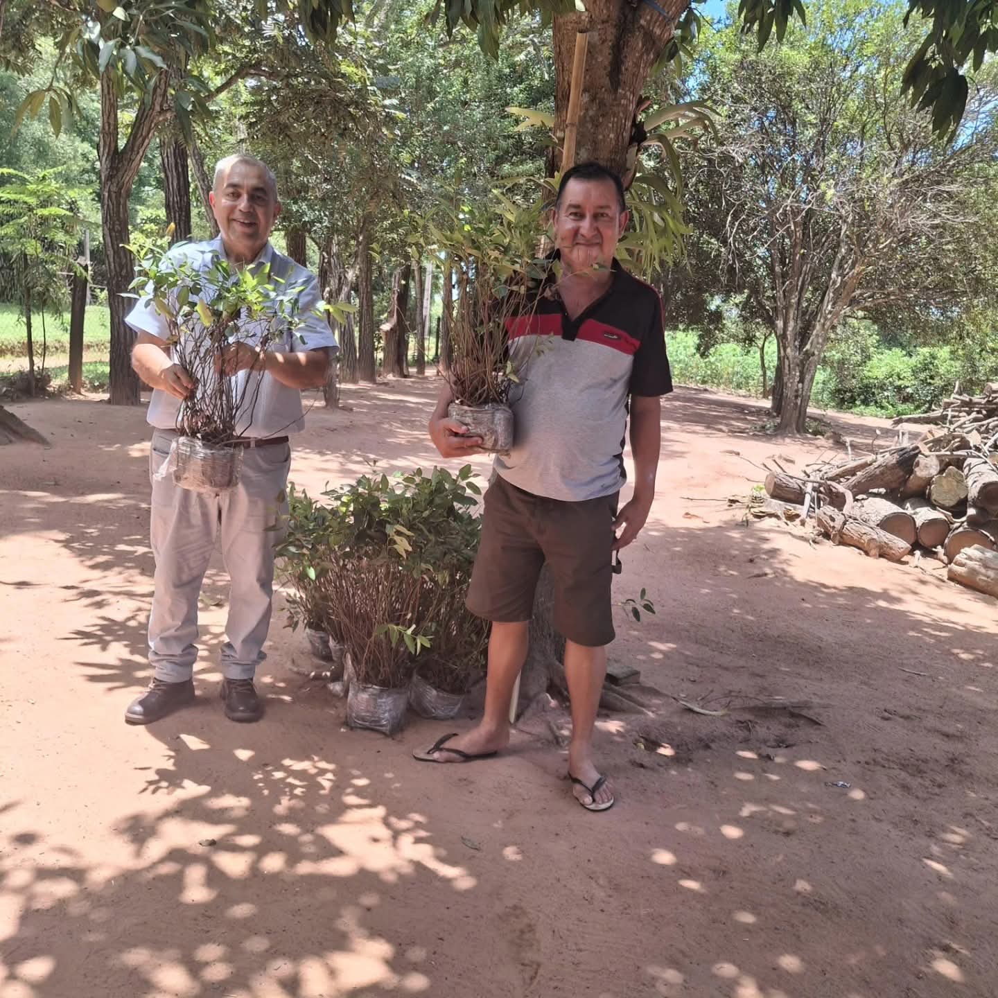 Asistencia técnica y entrega de 1.100 plantines de eucalipto para la Reforestación Energética