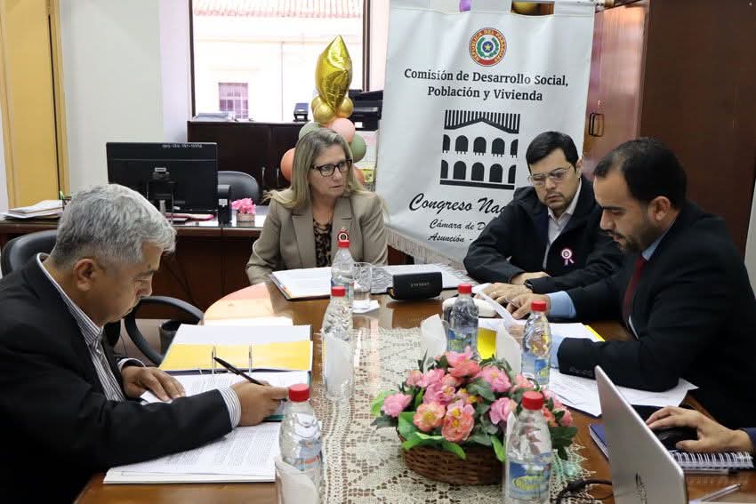 Comisión de Desarrollo Social aprueba dos proyectos de expropiación en Alto Paraná