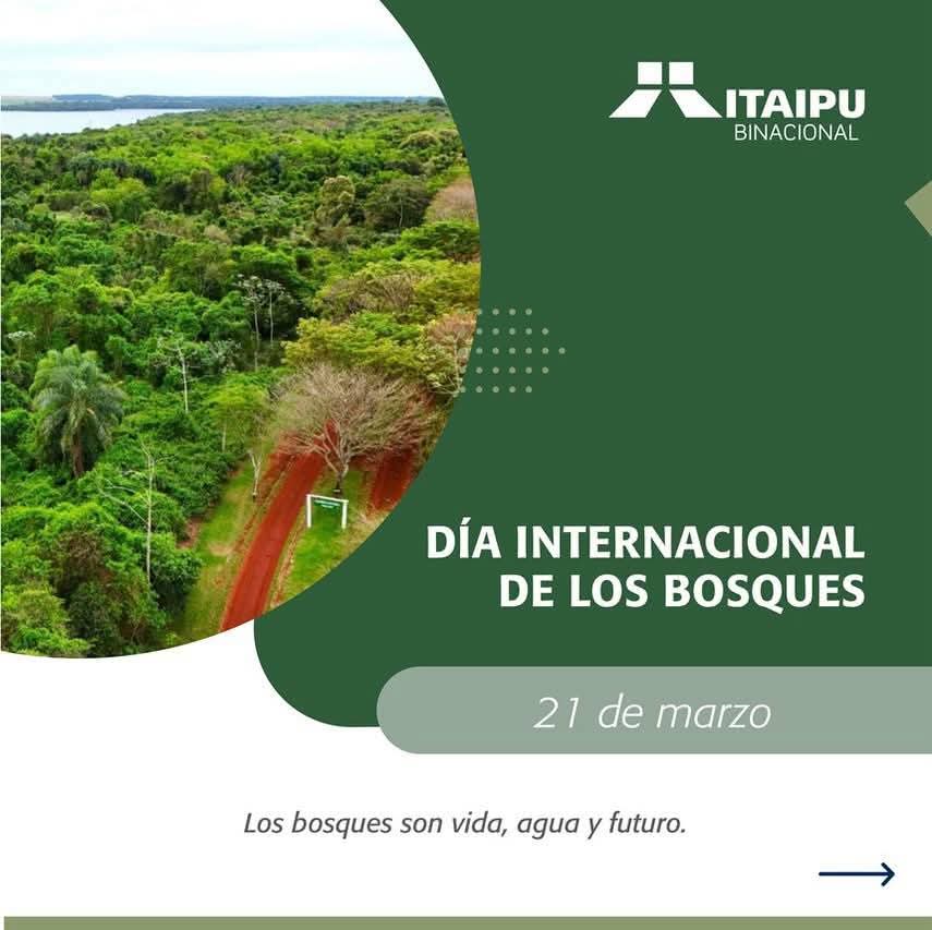 D铆a Internacional de los Bosques