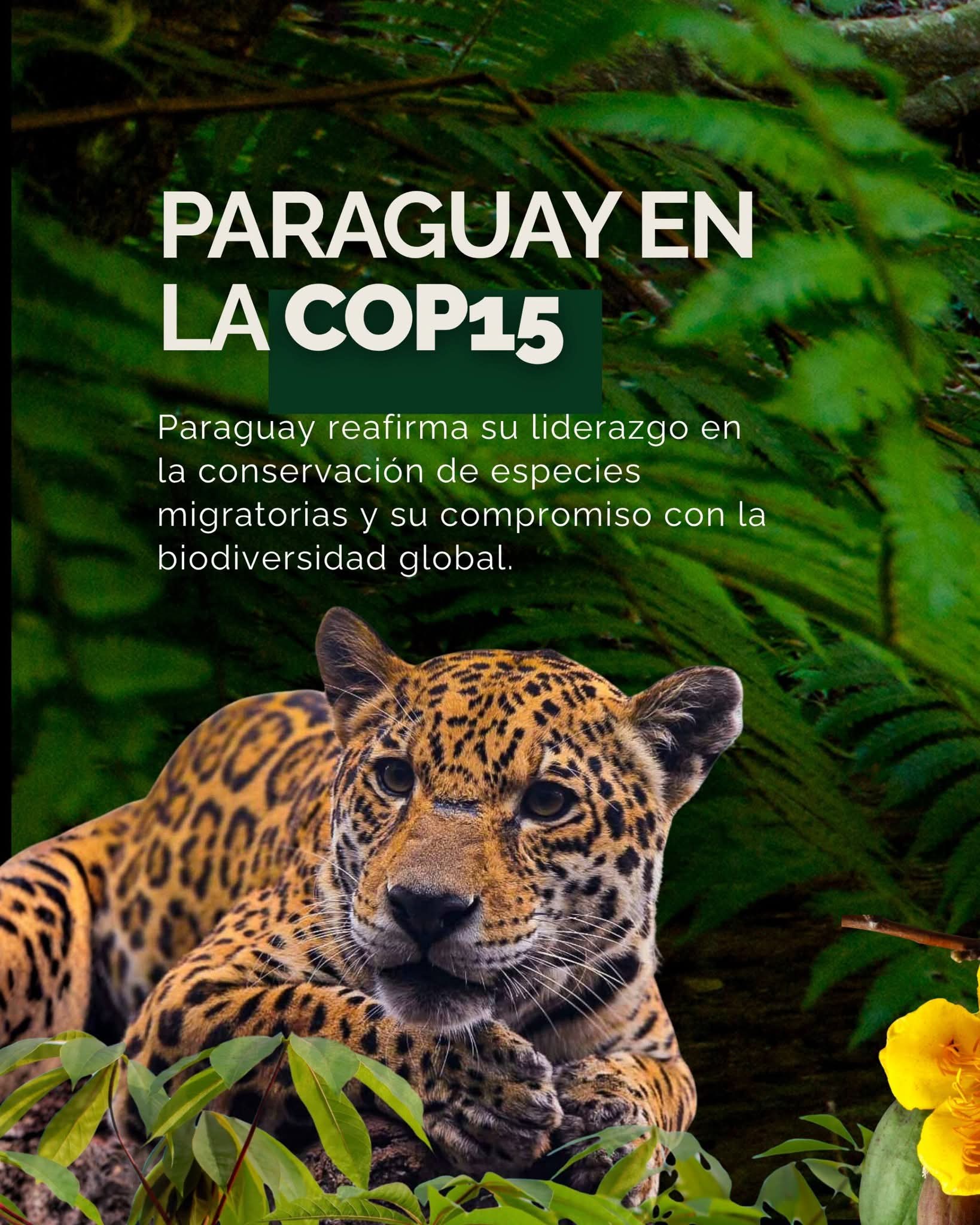 Conservaci贸n de la biodiversidad en Paraguay