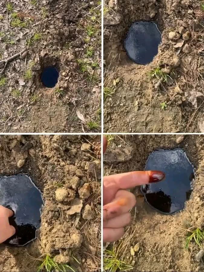 隆INCRE脥BLE HALLAZGO EN LOS L脥MITES DE GUAIR脕 Y CAAGUAZ脷! 馃洟锔忦焽叼焽