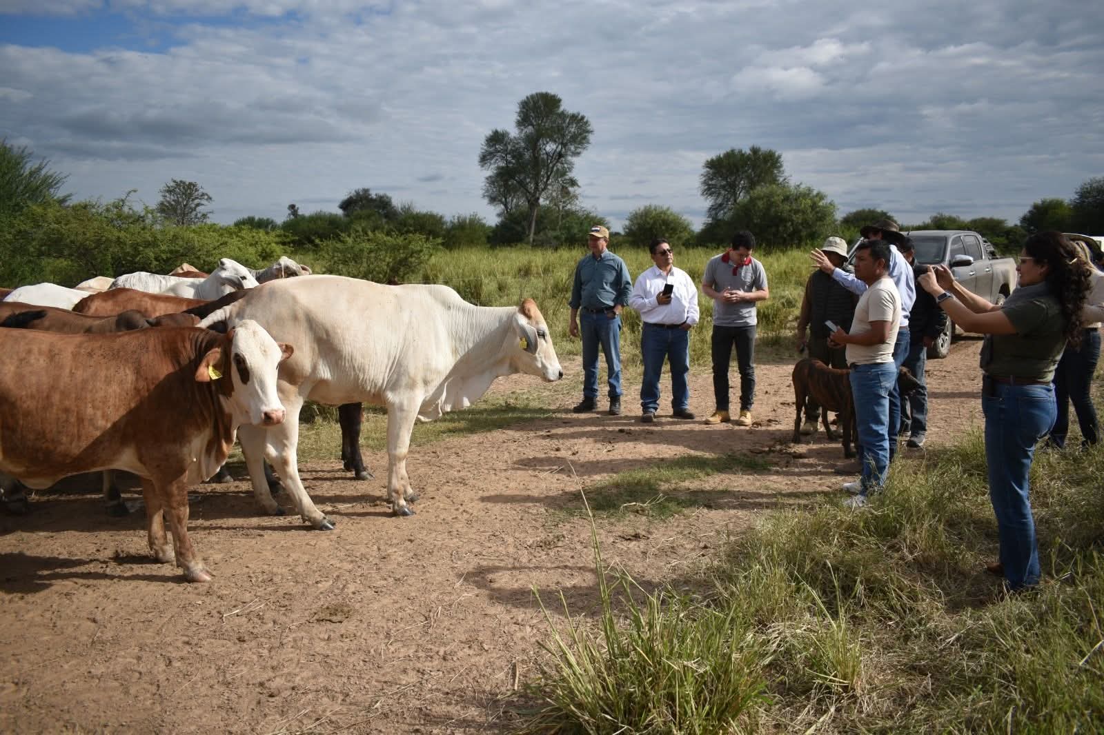 Paraguay y Perú fortalecen la cooperación 